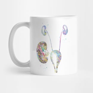 Urinary system Mug